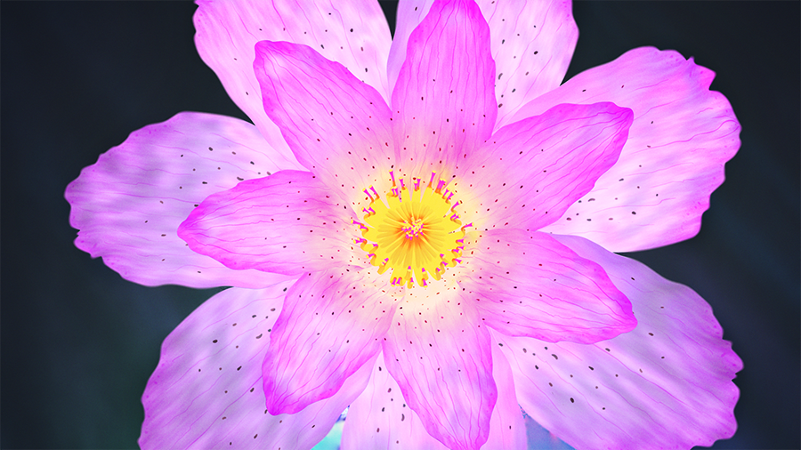 Cinema 4D Roadshow 2016 - Flower Bloom Animation: Rigging Flower Petal with Deformers